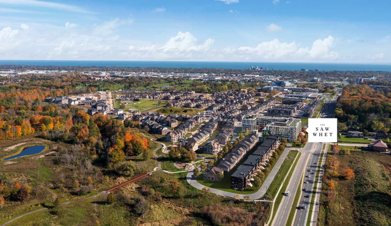 The Saw Whet in South Oakville.jpg