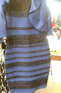 The_dress_blueblackwhitegold.jpg