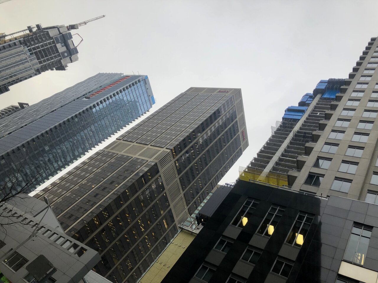 thumbnail_IMG_0303.jpg