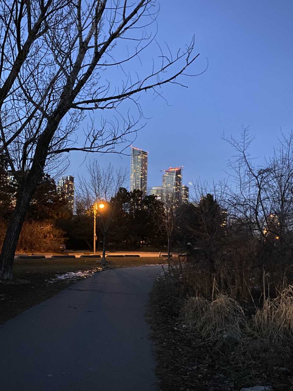 thumbnail_IMG_6171.jpg