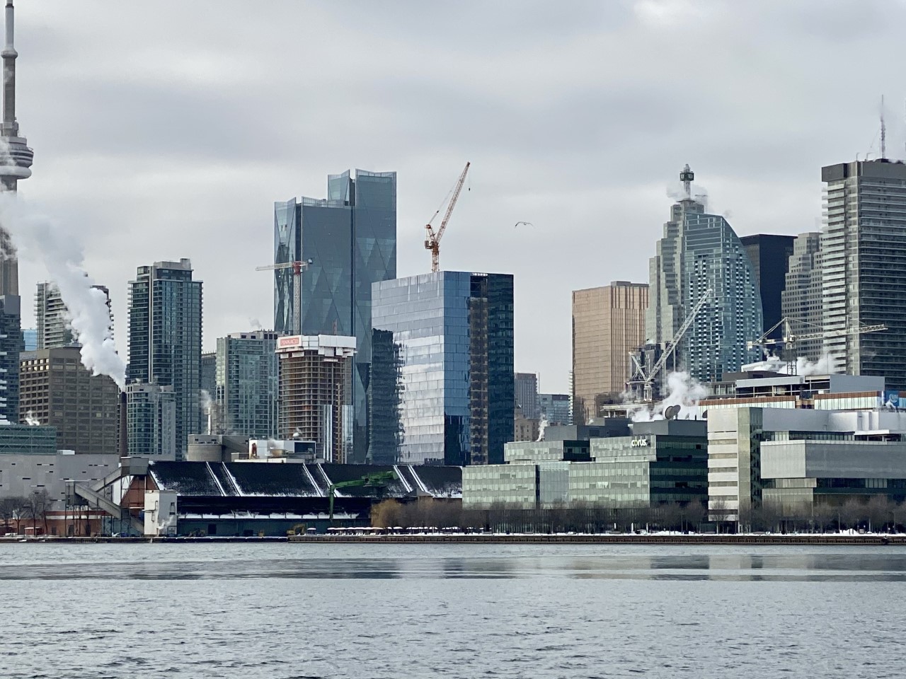 thumbnail_IMG_8062.jpg