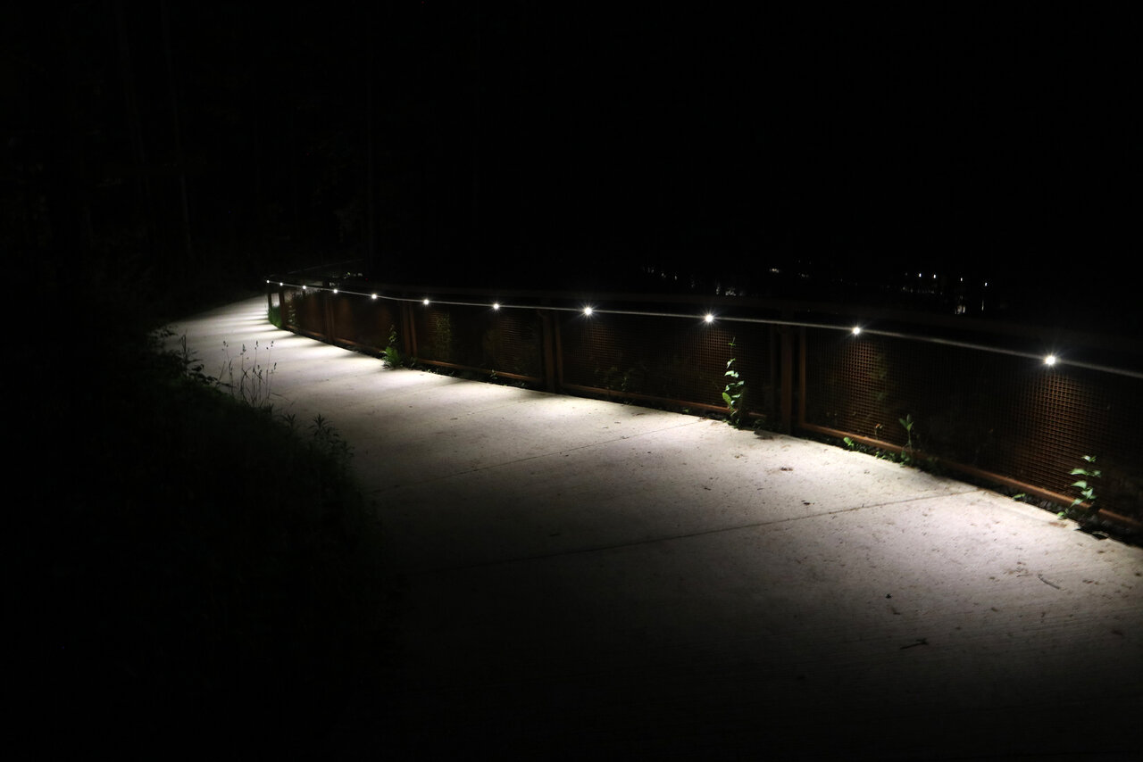 trail5.JPG
