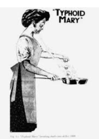typhoid.png