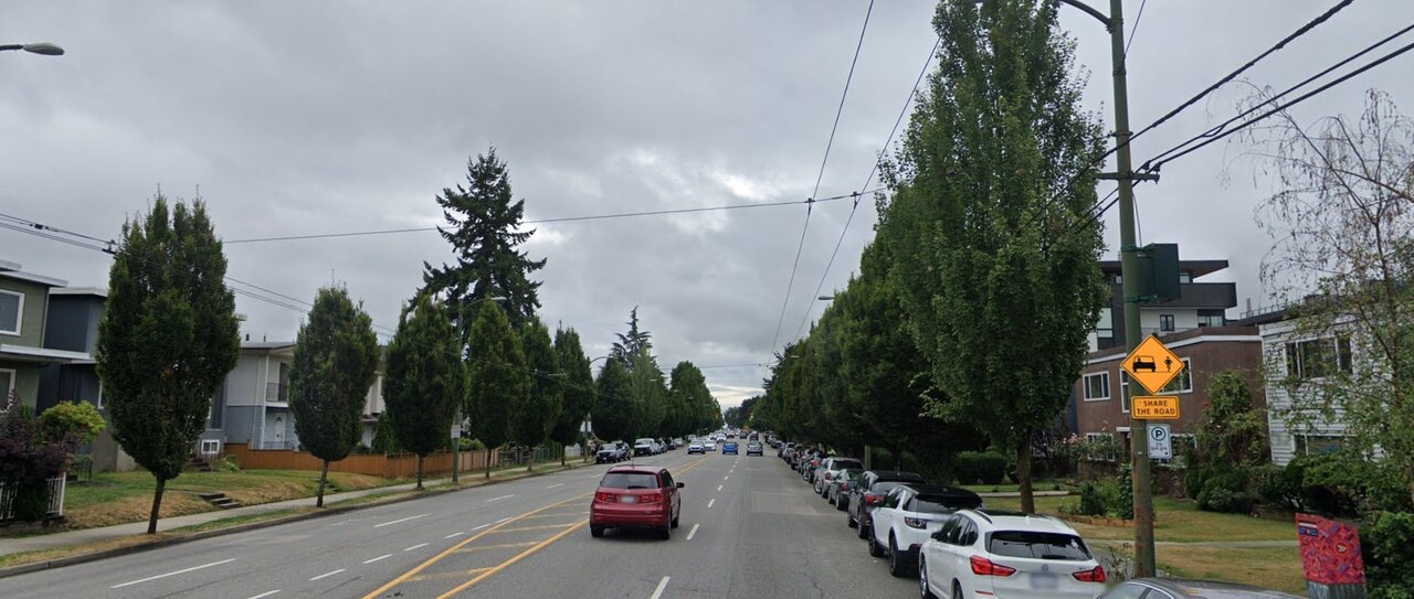 vancouver_trees2.jpg
