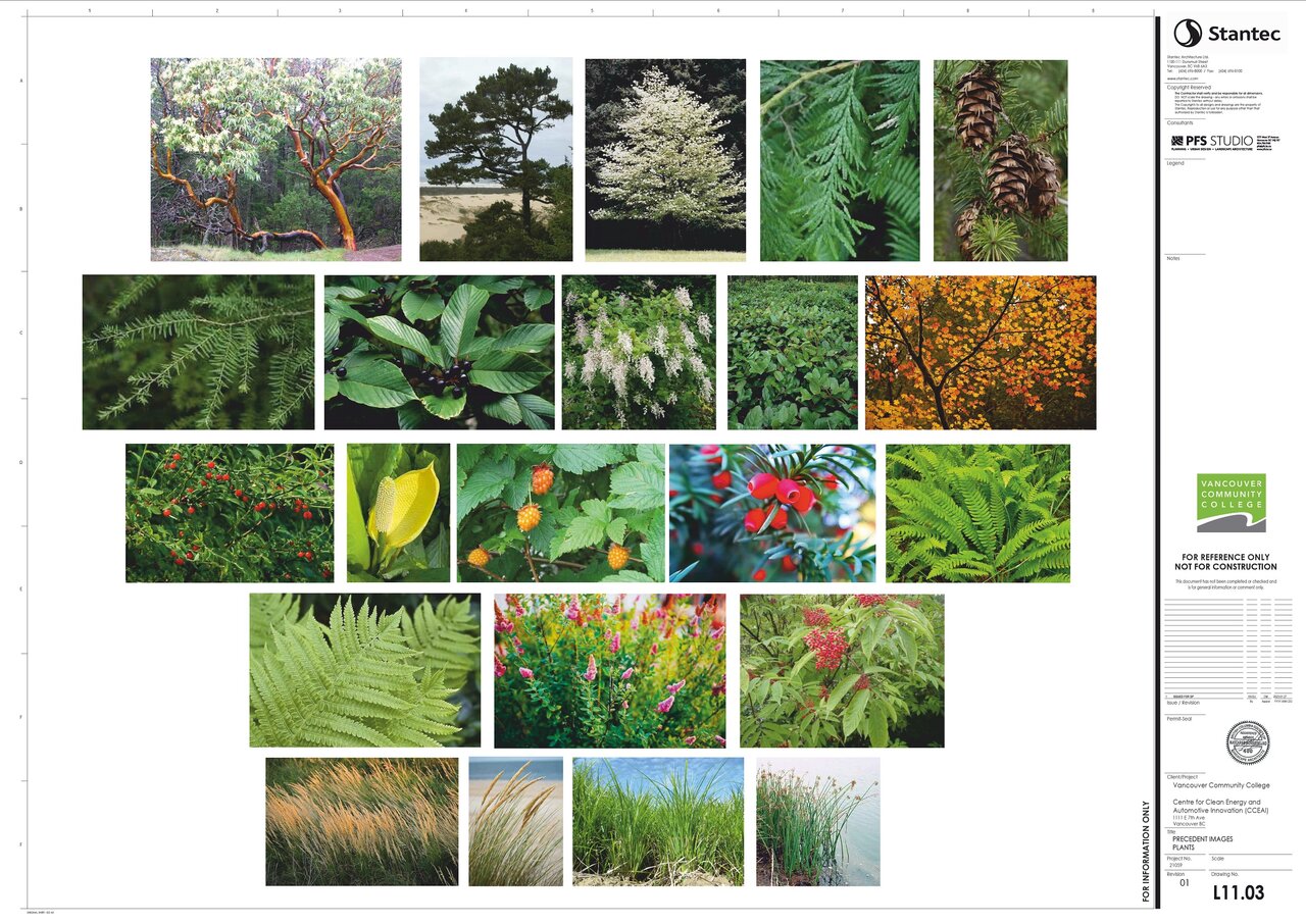 VCC_Landscape_Page_26.jpg