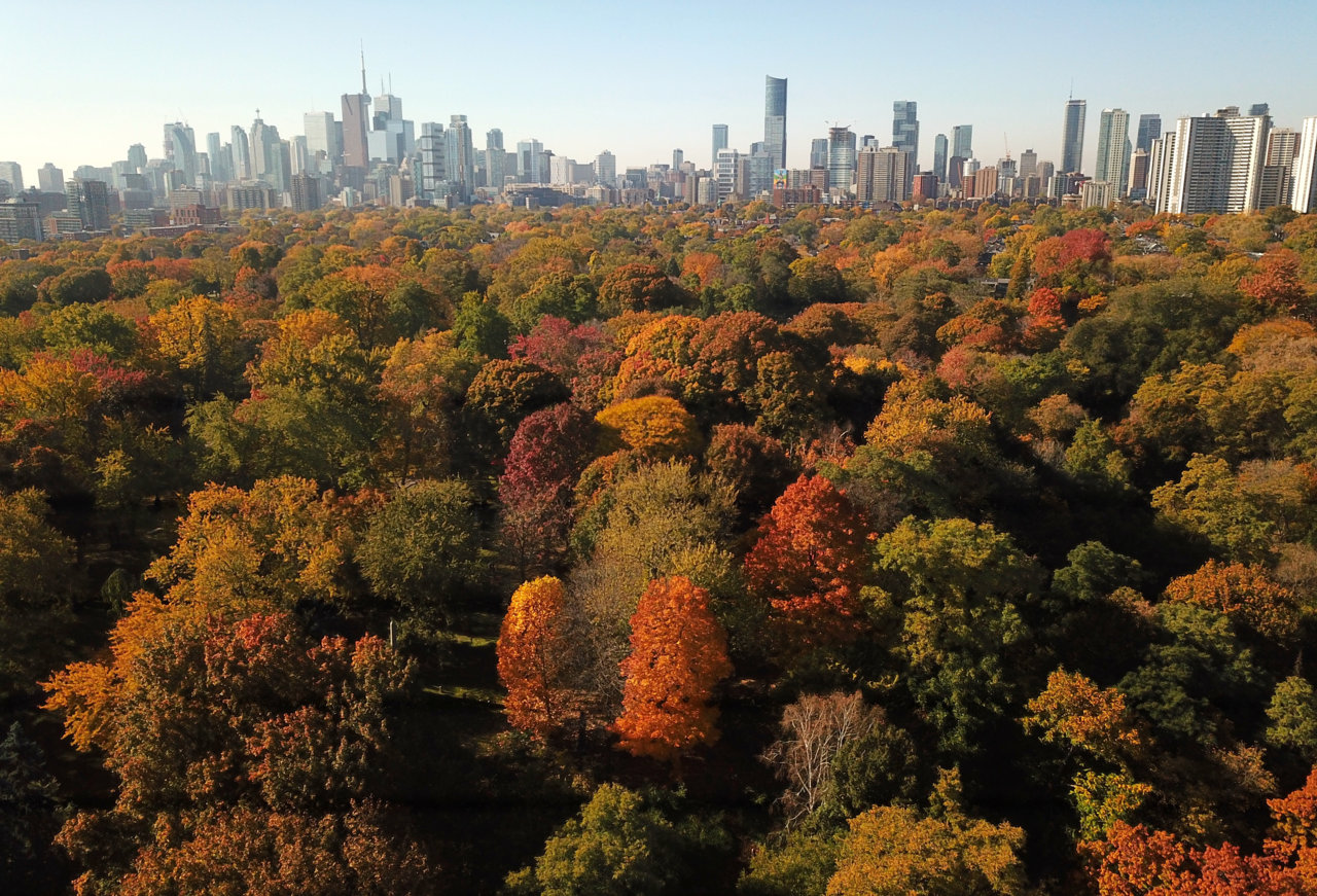 Wellesley-2.jpg