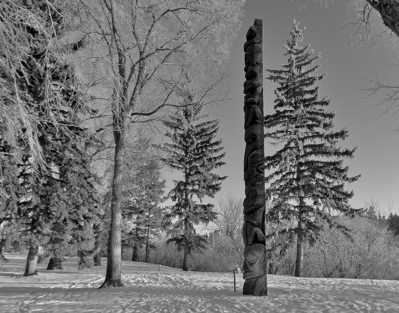 Westend, Government House 2019-12-22 176.JPG