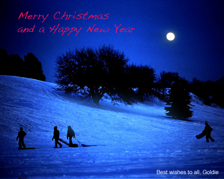 Xmas card 2021 Goldie.jpg