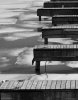 Frozen Docks, Bluffers Park, Scarborough.jpg