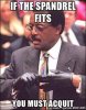 johnny-cochran-glove-if-the-spandrel-fits-you-must-acquit.jpg