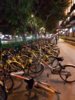 20171026_182924 - Guangzhou Bikes.jpg