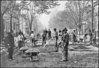 Italians laying cobblestones on King Street 1903.jpg