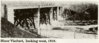 bloor viaduct and sugar loaf hill 1918.jpg