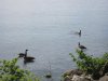 IMG_7050.JPG