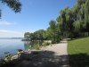IMG_7108.JPG