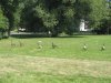 IMG_7154.JPG