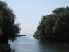 IMG_7168.JPG
