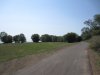 IMG_7206.JPG