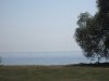 IMG_7219.JPG