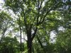 IMG_7242.jpg