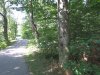 IMG_7248.JPG