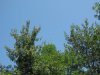 IMG_7255.JPG