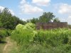 IMG_7260.JPG