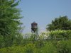 IMG_7282.JPG