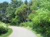 IMG_7287.JPG