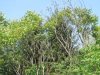 IMG_7292.jpg