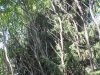 IMG_7296.jpg