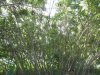 IMG_7299.jpg