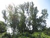 IMG_7302.JPG