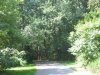 IMG_7305.JPG
