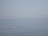 IMG_7337.JPG