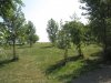 IMG_7339.JPG