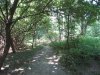 IMG_7347.JPG