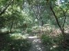 IMG_7348.jpg