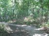 IMG_7360.jpg
