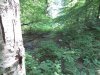 IMG_7373.JPG