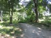 IMG_7383.JPG