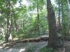 IMG_7395.JPG