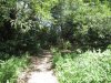 IMG_7399.jpg
