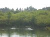 IMG_7762.JPG