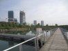 IMG_7774.JPG