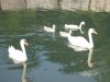 IMG_7814.JPG