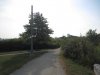 IMG_7842.JPG