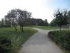 IMG_7851.JPG