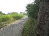 IMG_7876.JPG