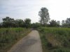 IMG_7878.JPG